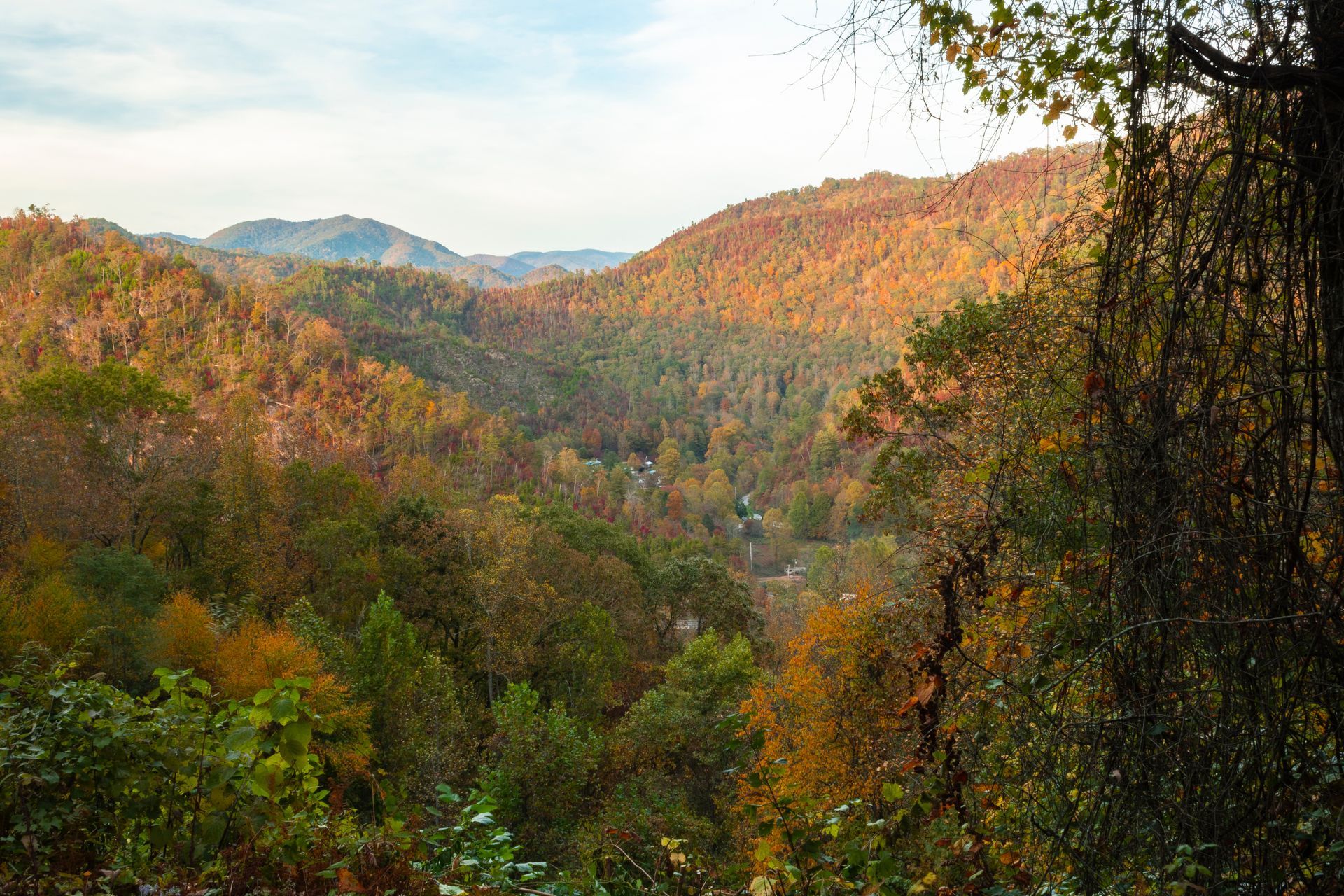 Vivid autumn foliage colors a mountain valley. Sunlight bathes the distant slopes in gold.