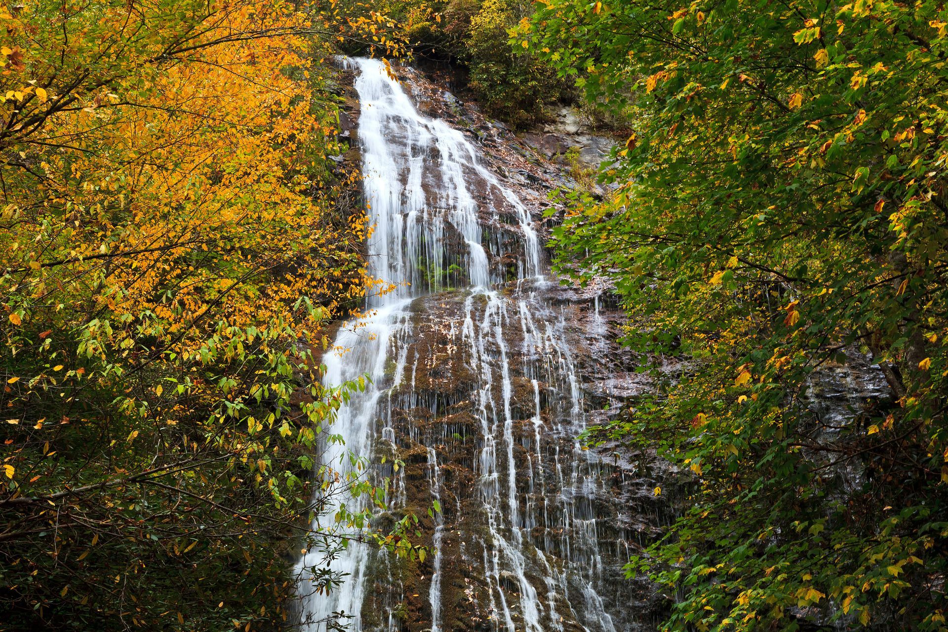 Waterfall cascading down a rocky cliff, surrounded by trees with yellow and green leaves.