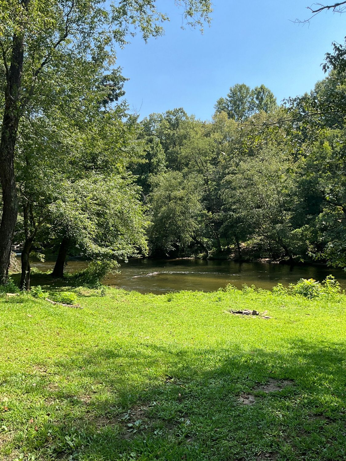Green grass and trees border a flowing river under a blue sky.