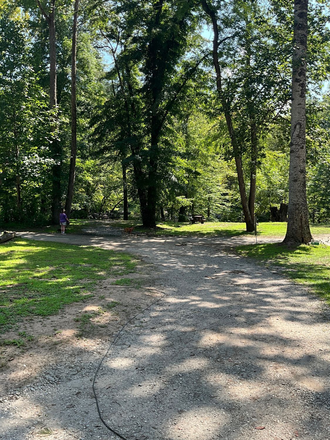 Gravel path through a sunny forest with green grass and trees, a child in the distance.