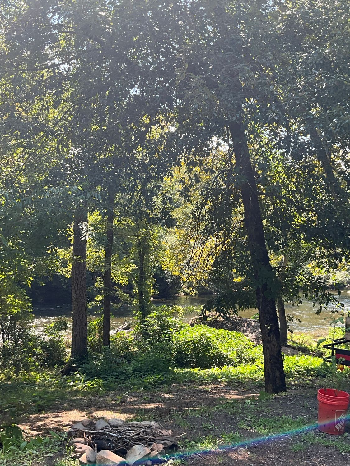 Trees by a river with sunlight filtering through the leaves. A red bucket and fire pit are visible.