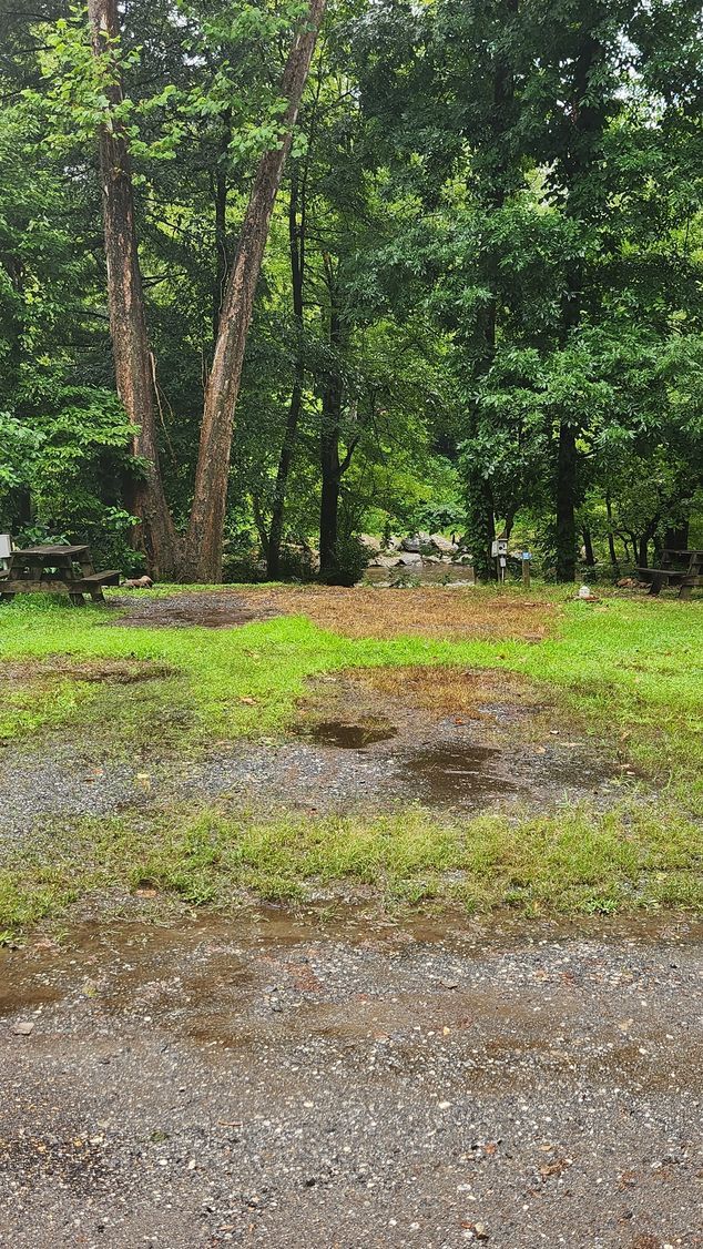 Green trees frame a clearing of grass and gravel.