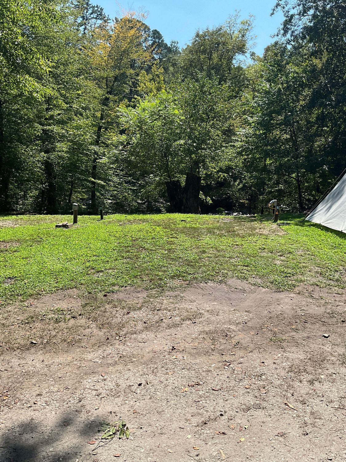Grassy campsite with dirt path, surrounded by green trees under a blue sky.