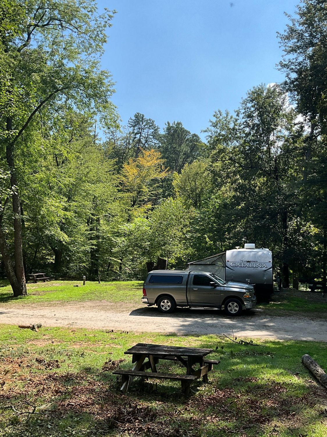 Truck and camper parked at a campsite with picnic table, surrounded by green trees under a blue sky.