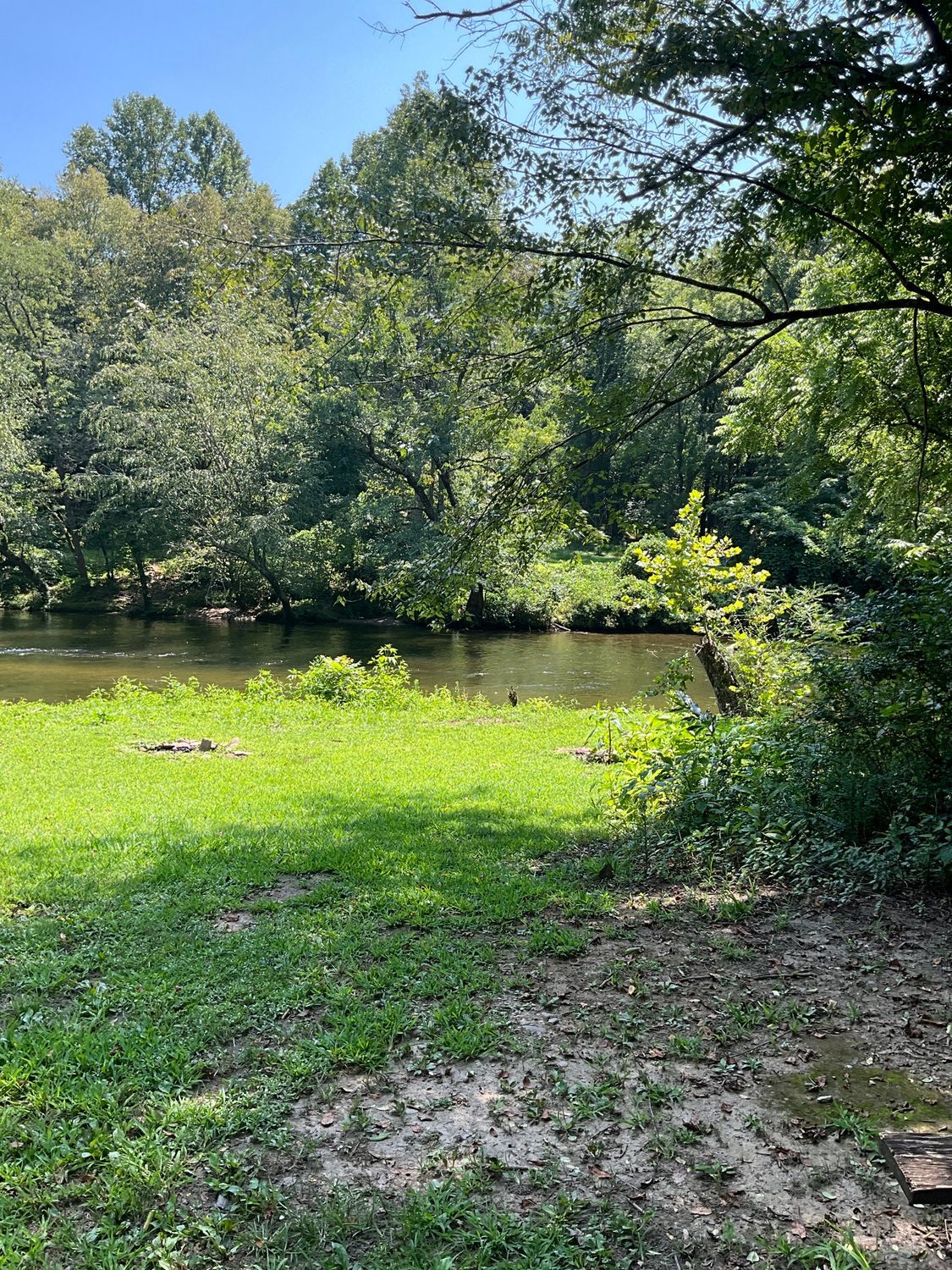 Grassy area by a calm river, trees in the background, bright sunlight.