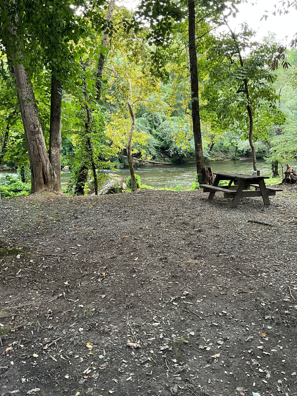 Picnic table near a river in a forest; green trees, gray gravel, overcast.