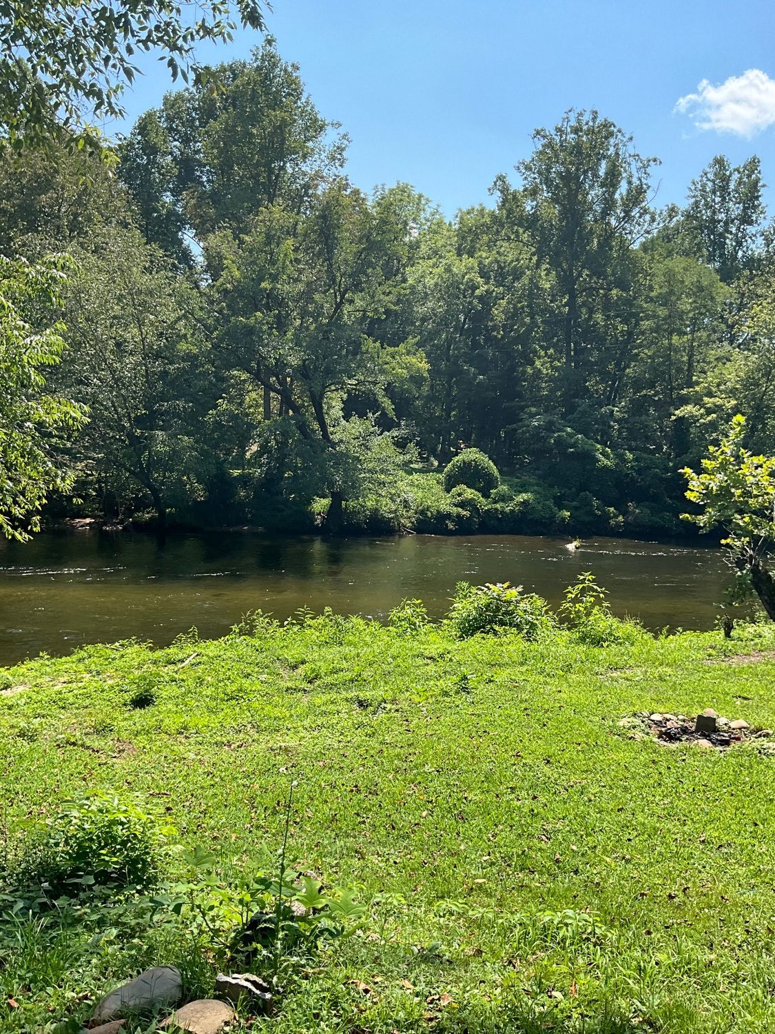 Green grassy bank overlooking a dark, flowing river with trees along the bank under a blue sky.