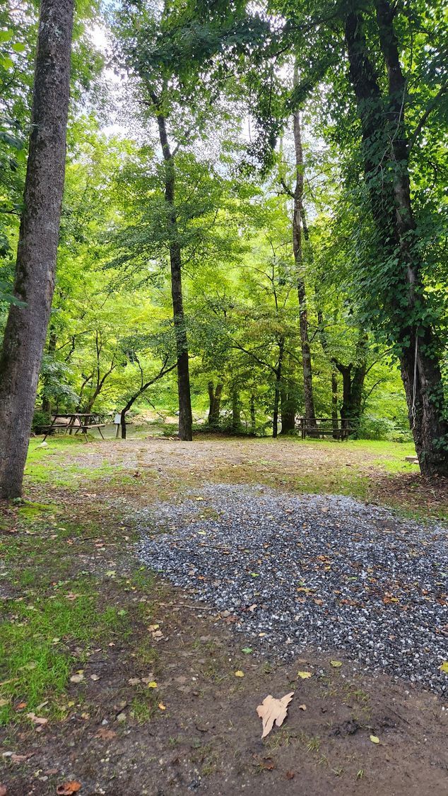 Pile of gravel in a wooded area, with trees and sunlight.