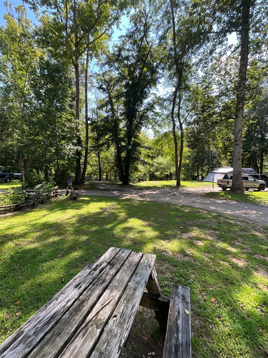 Picnic table in grassy campsite, trees surround. Vehicle and tent visible in background.