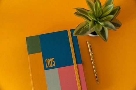 DR. AFONSO'S CURRICULUM