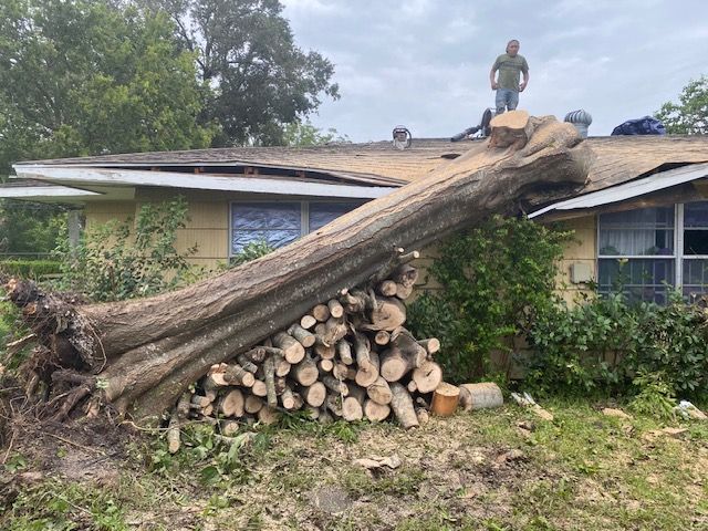 A man is standing on the roof of a house next to a pile of logs.