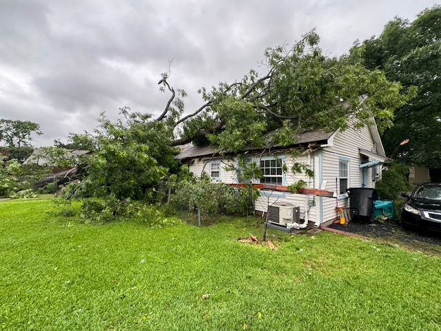 A house with a tree on the roof and a car parked in front of it.
