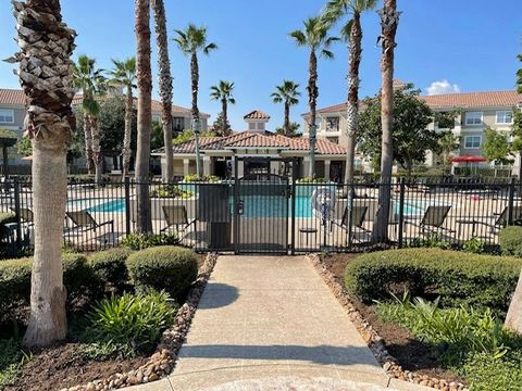 A walkway leading to a swimming pool with palm trees in the background