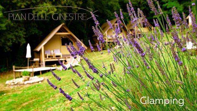 Glamping pian delle ginestre