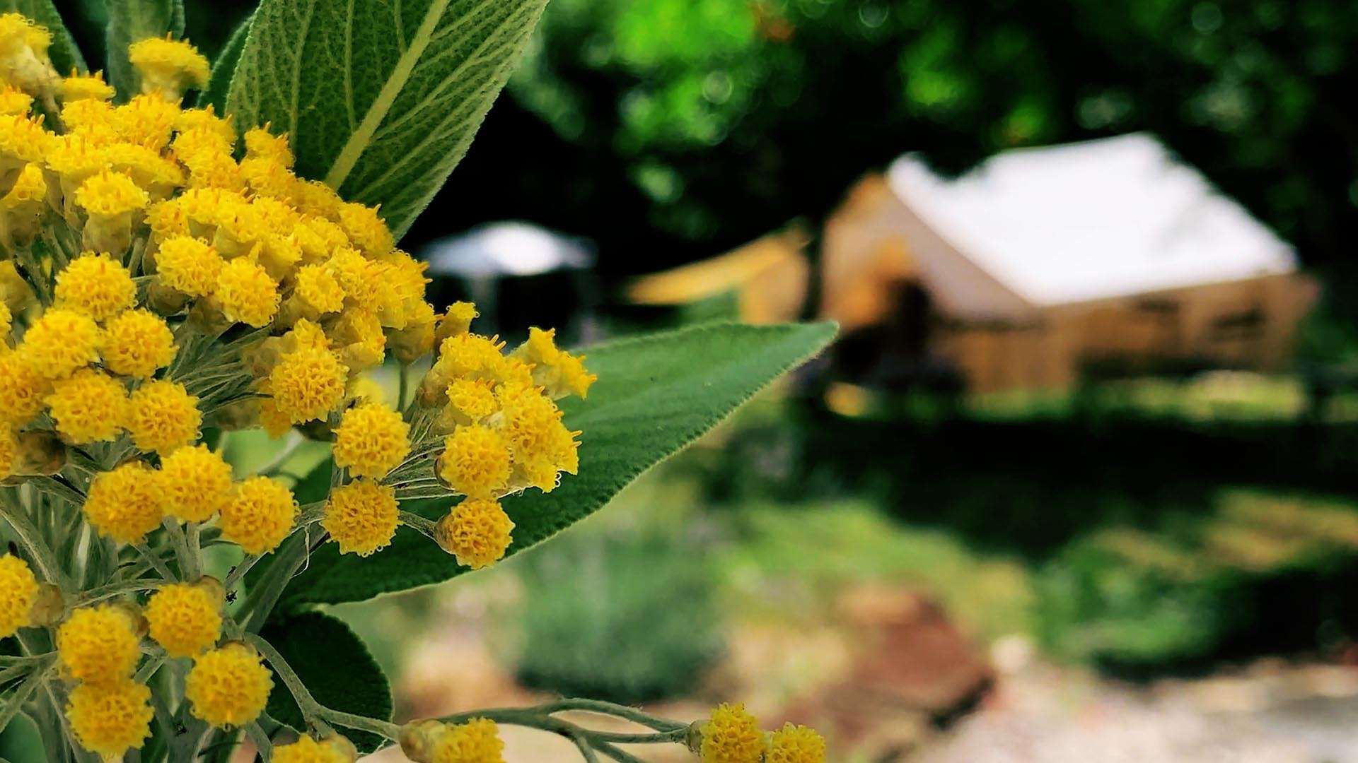 Naturaleza y relax te esperan en el Glamping Pian delle Ginestre