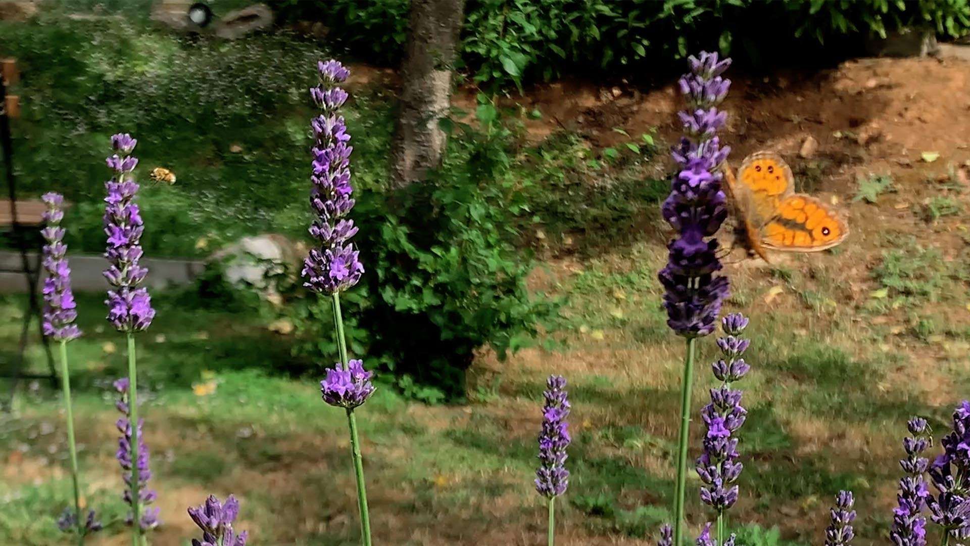 Naturaleza y relax te esperan en el Glamping Pian delle Ginestre