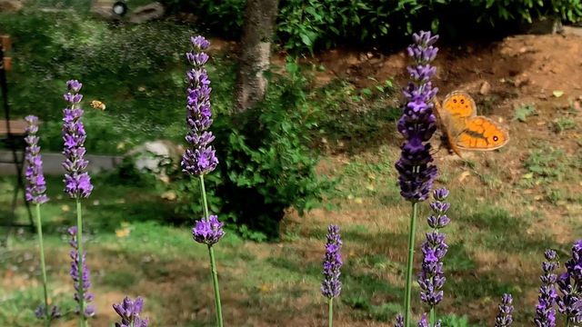 Nature and relaxation await you at Glamping Pian delle Ginestre