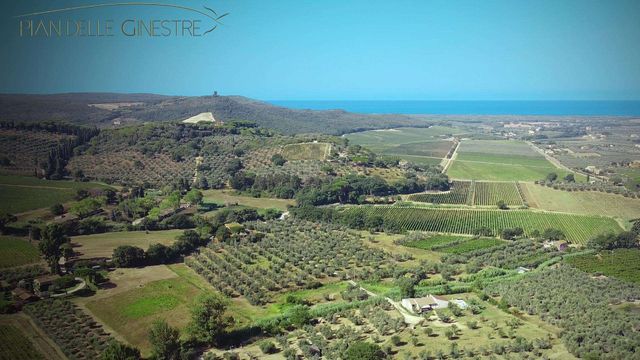 Nature and relaxation await you at Glamping Pian delle Ginestre