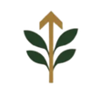 wgp logo
