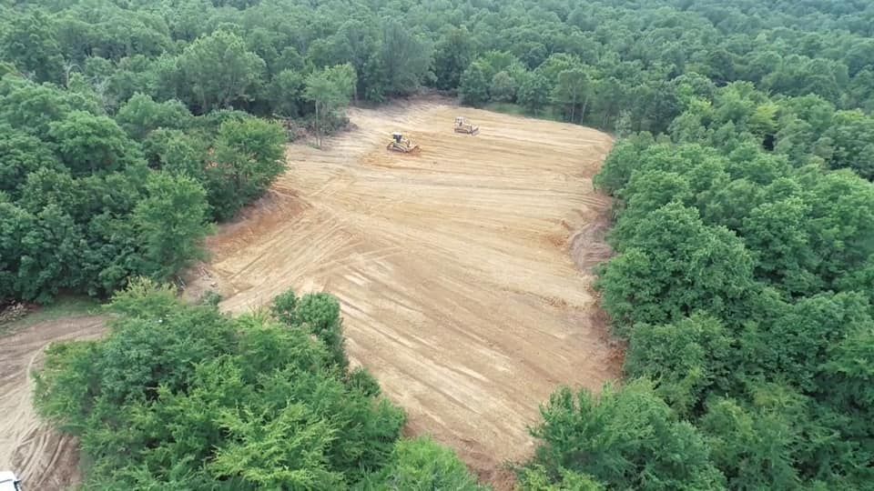 Clearing in a forest: an excavator works on brown soil surrounded by green trees.