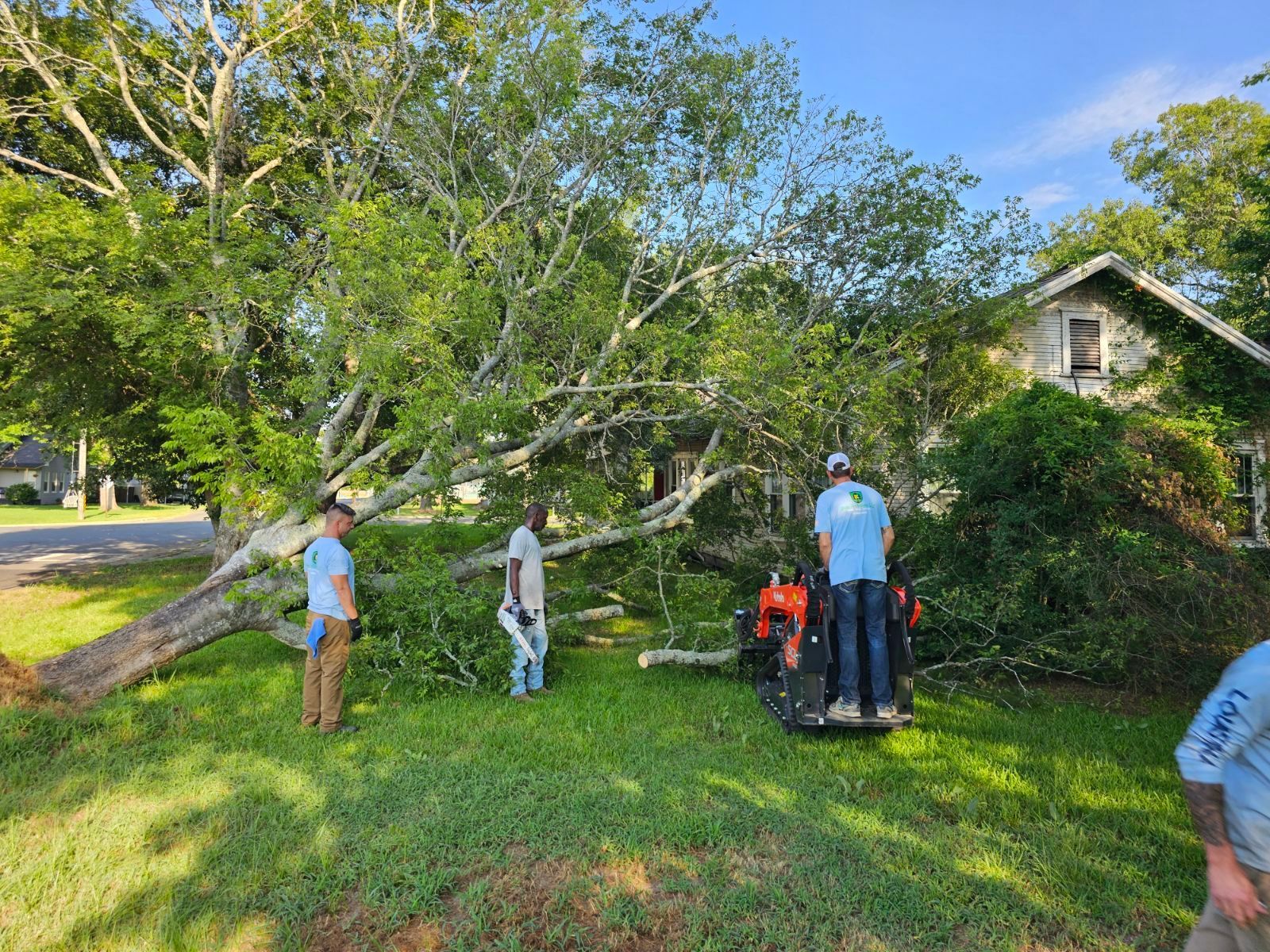 A group of people are standing in front of a fallen tree in a yard.