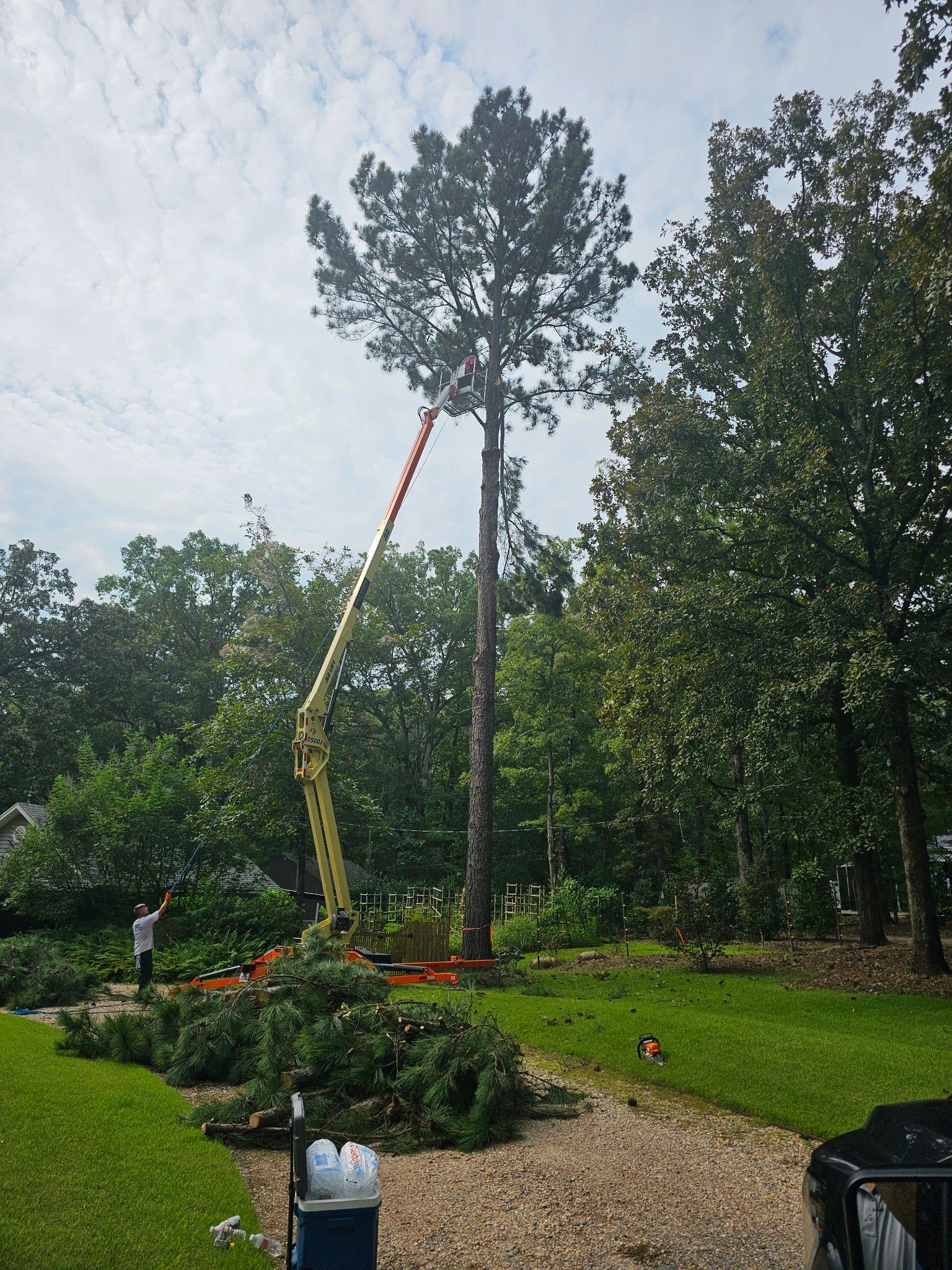 A man is cutting a tree with a crane in a backyard.