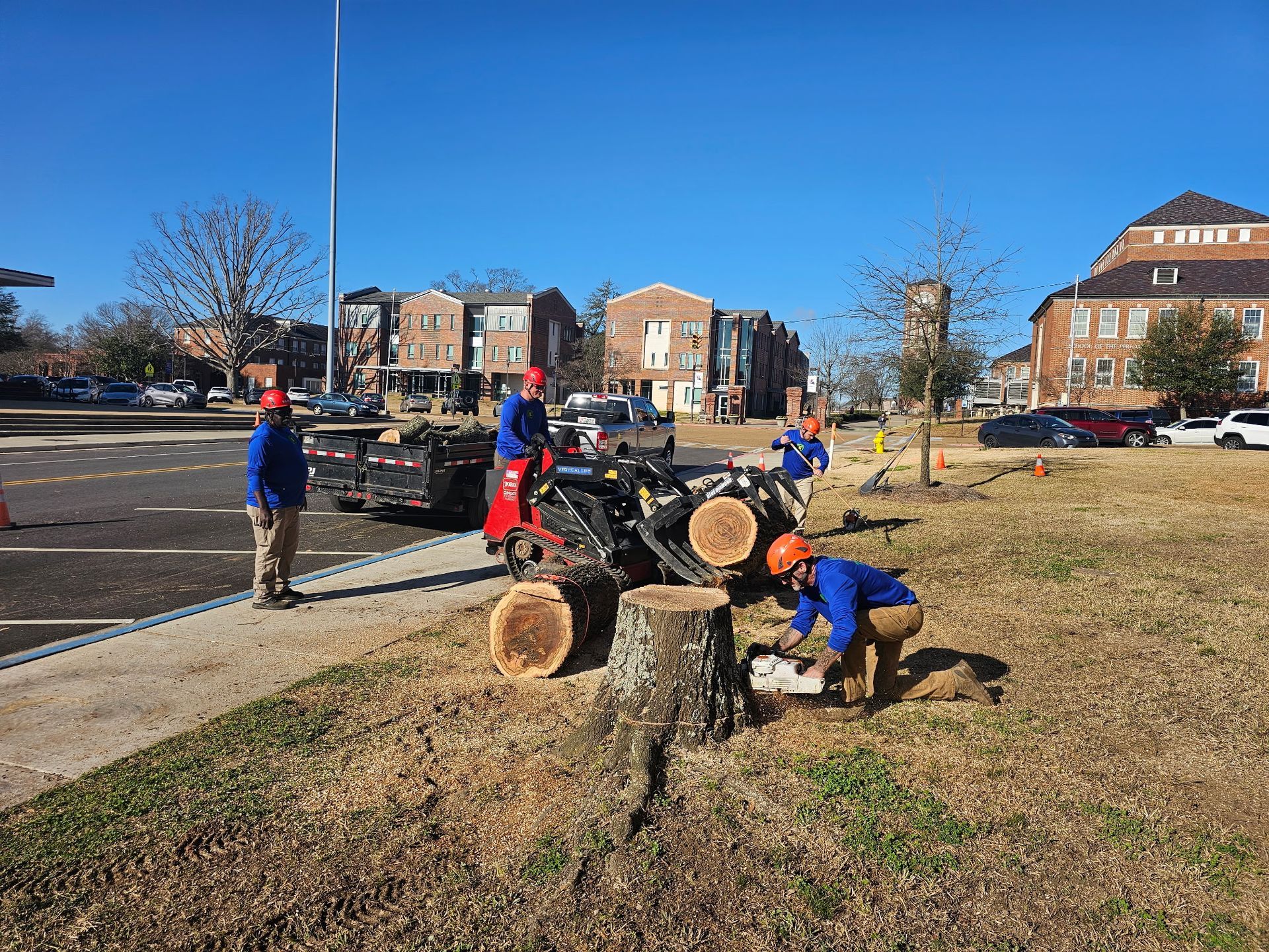 A group of people are working on a tree stump in a park.