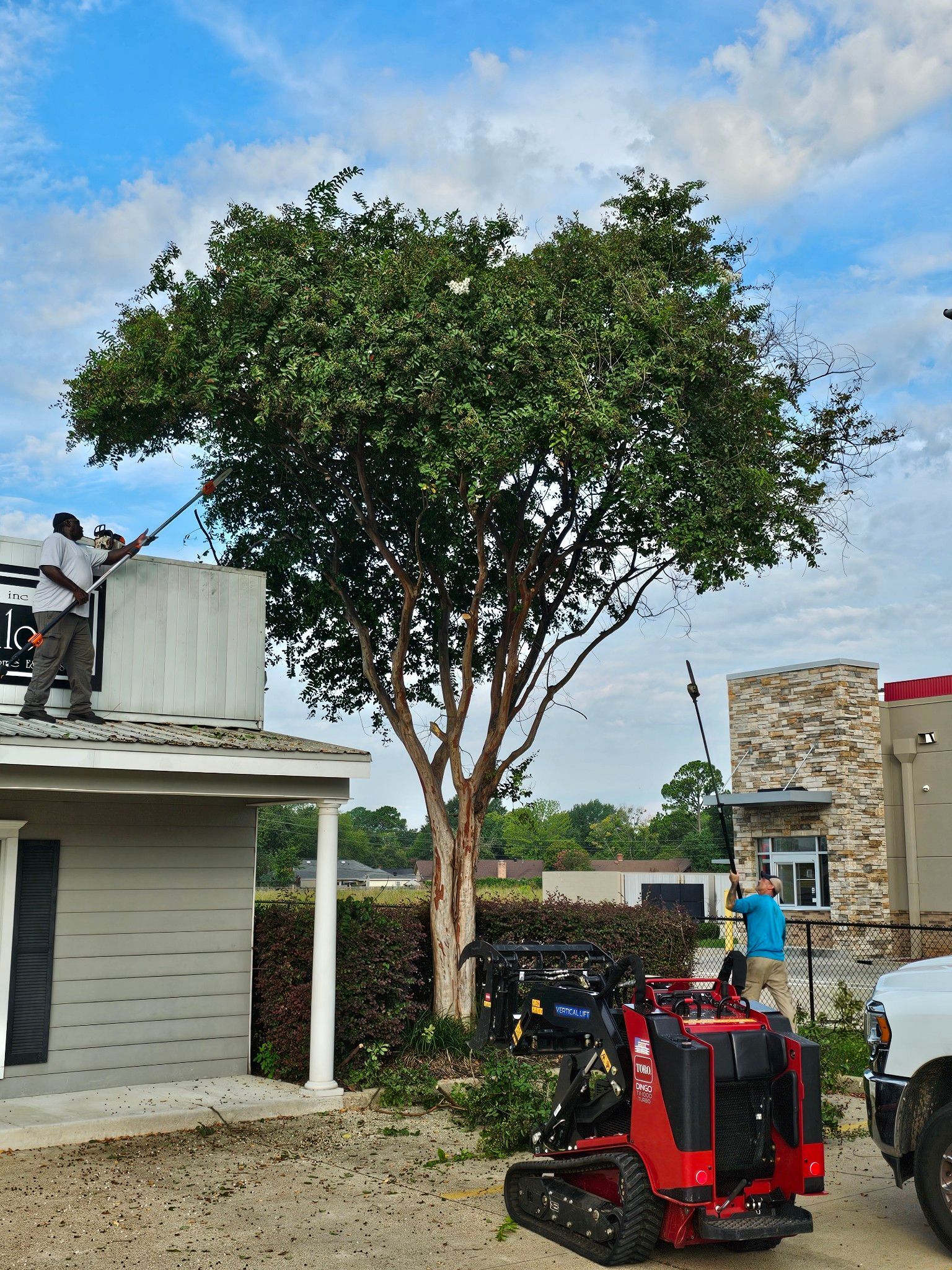 A man is cutting a tree with a tractor in front of a house.