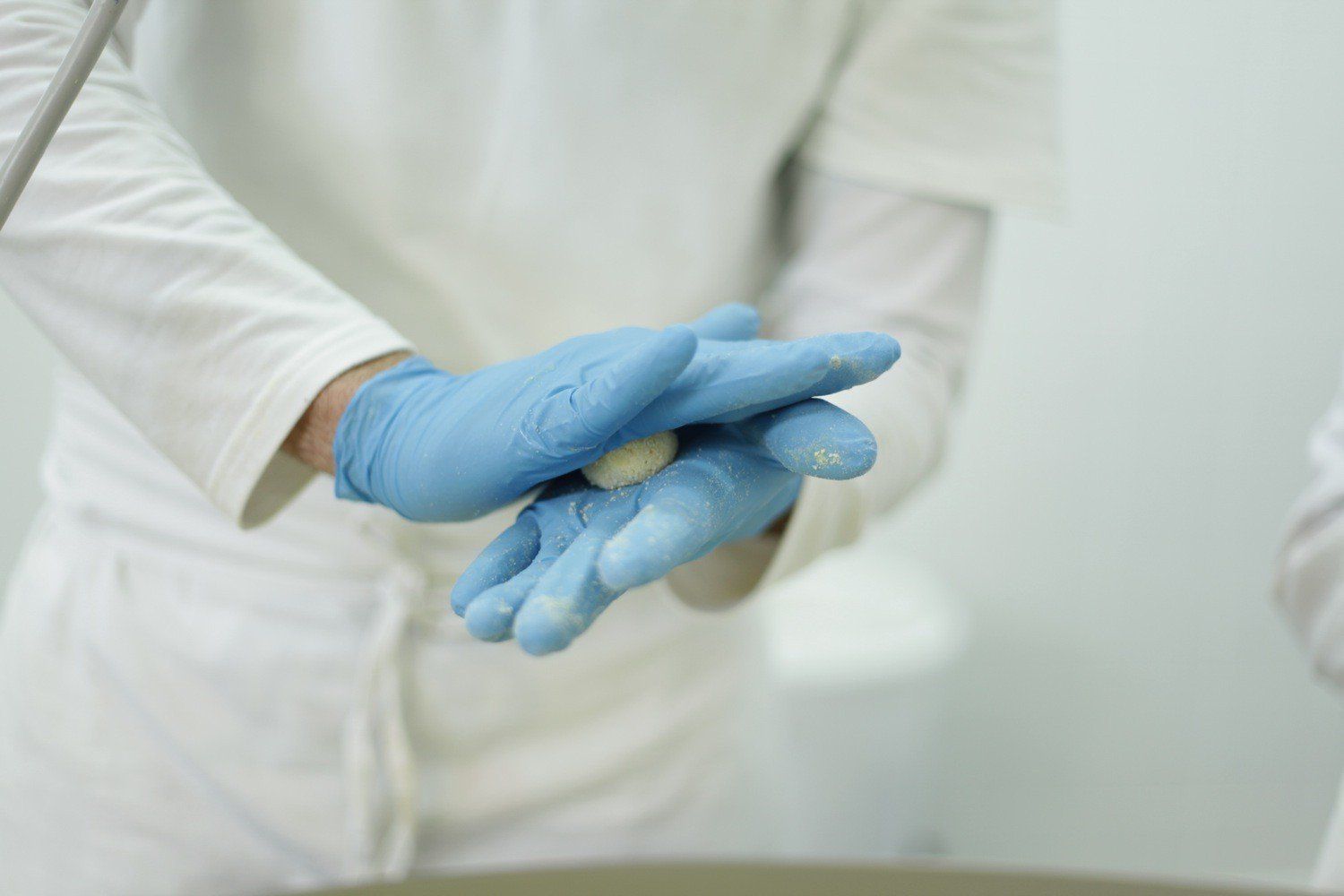 Preparazione polpetta