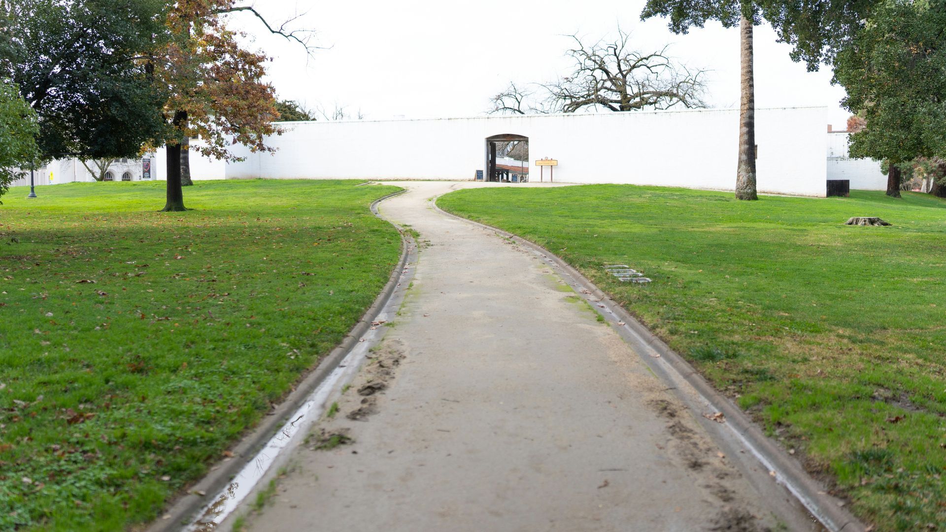 A path going through a park with trees on both sides