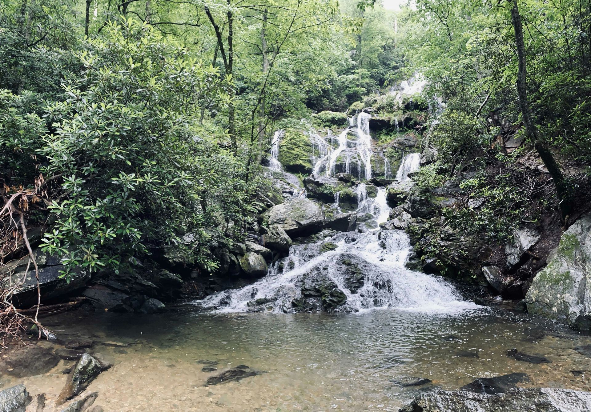 A waterfall is surrounded by trees and rocks in the middle of a forest.