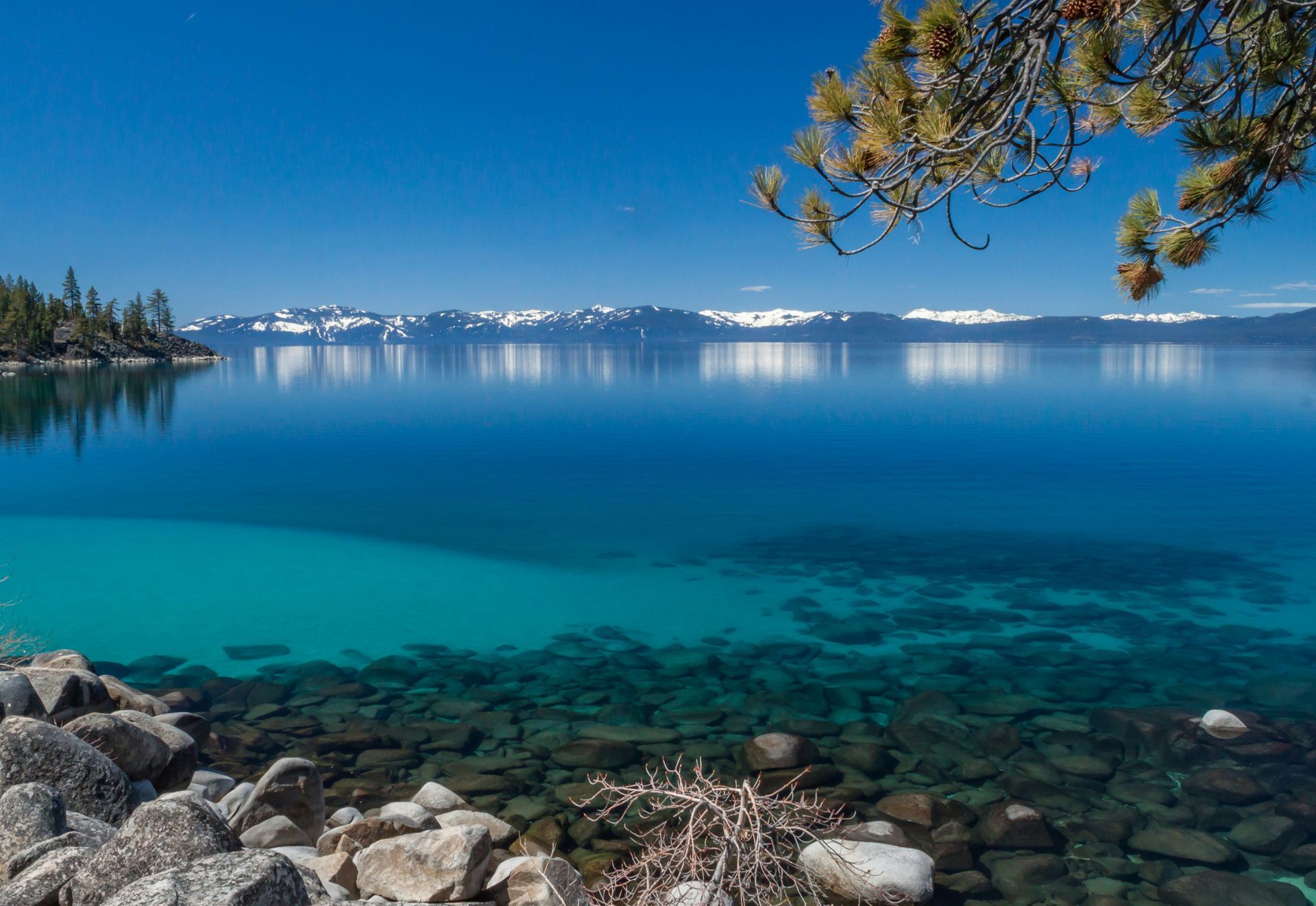 A lake with mountains in the background and a tree in the foreground