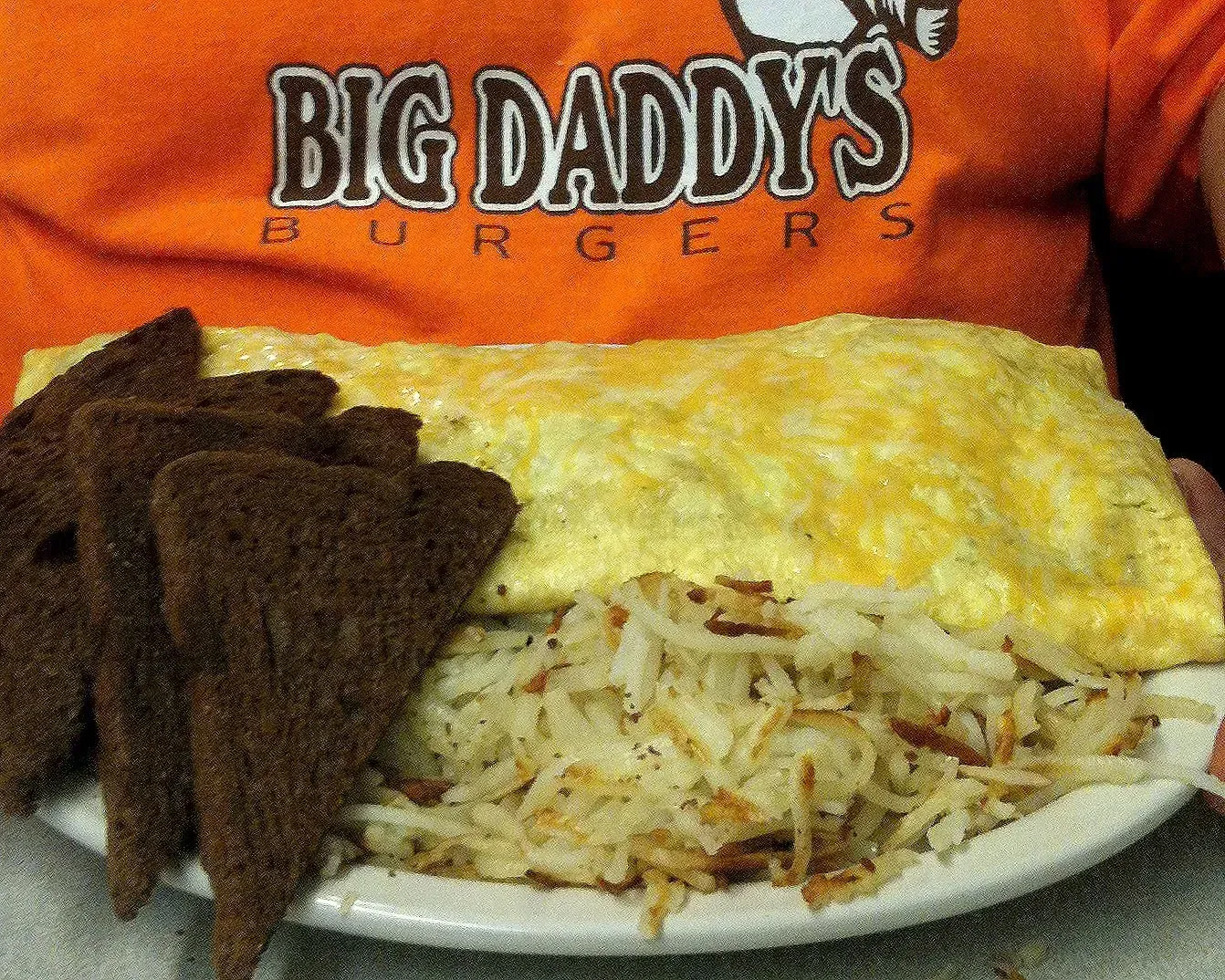 Plate of food: omelet, hash browns, and dark toast in front of a person wearing a