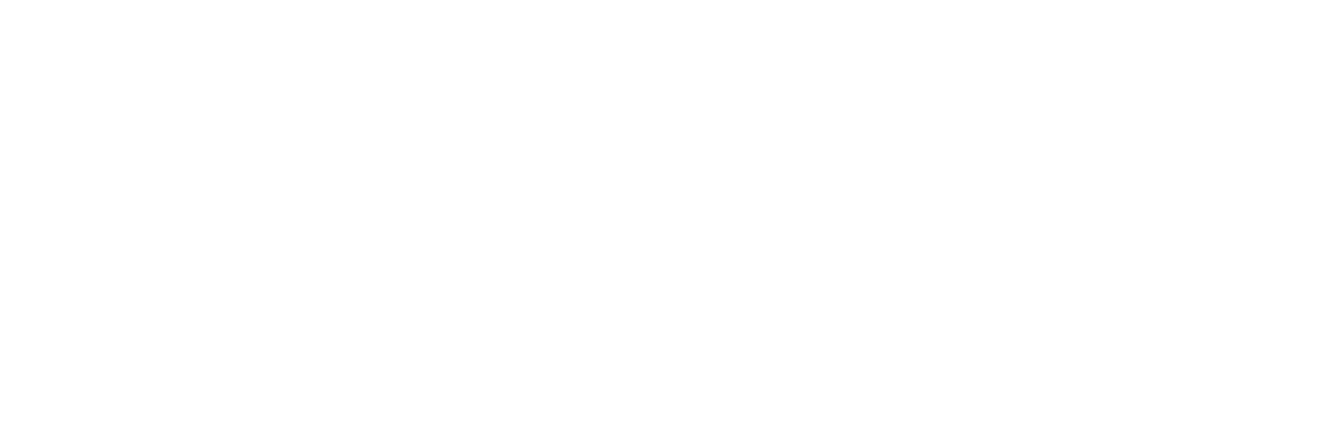 solomon consulting services logo