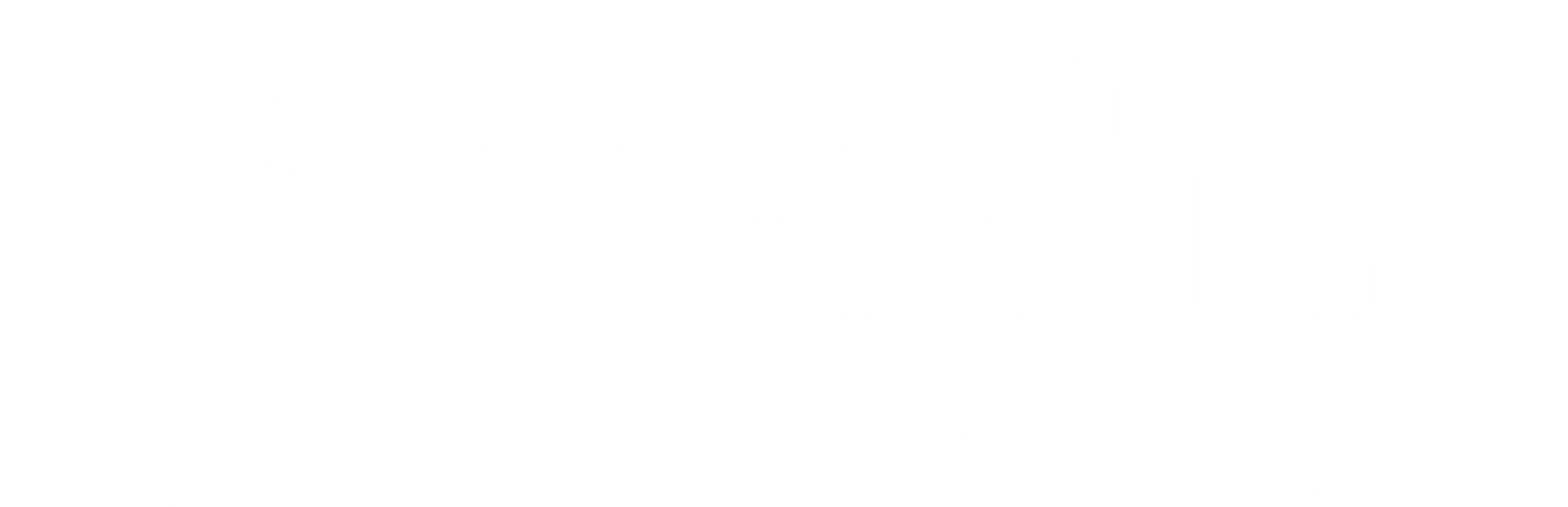 Rural Hospital Business Development Solomon Consulting