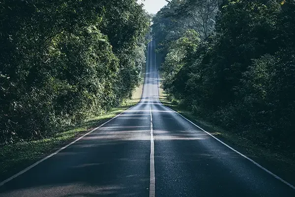 Road through lush, green trees; sunlight streaks across the asphalt, stretching towards the horizon.