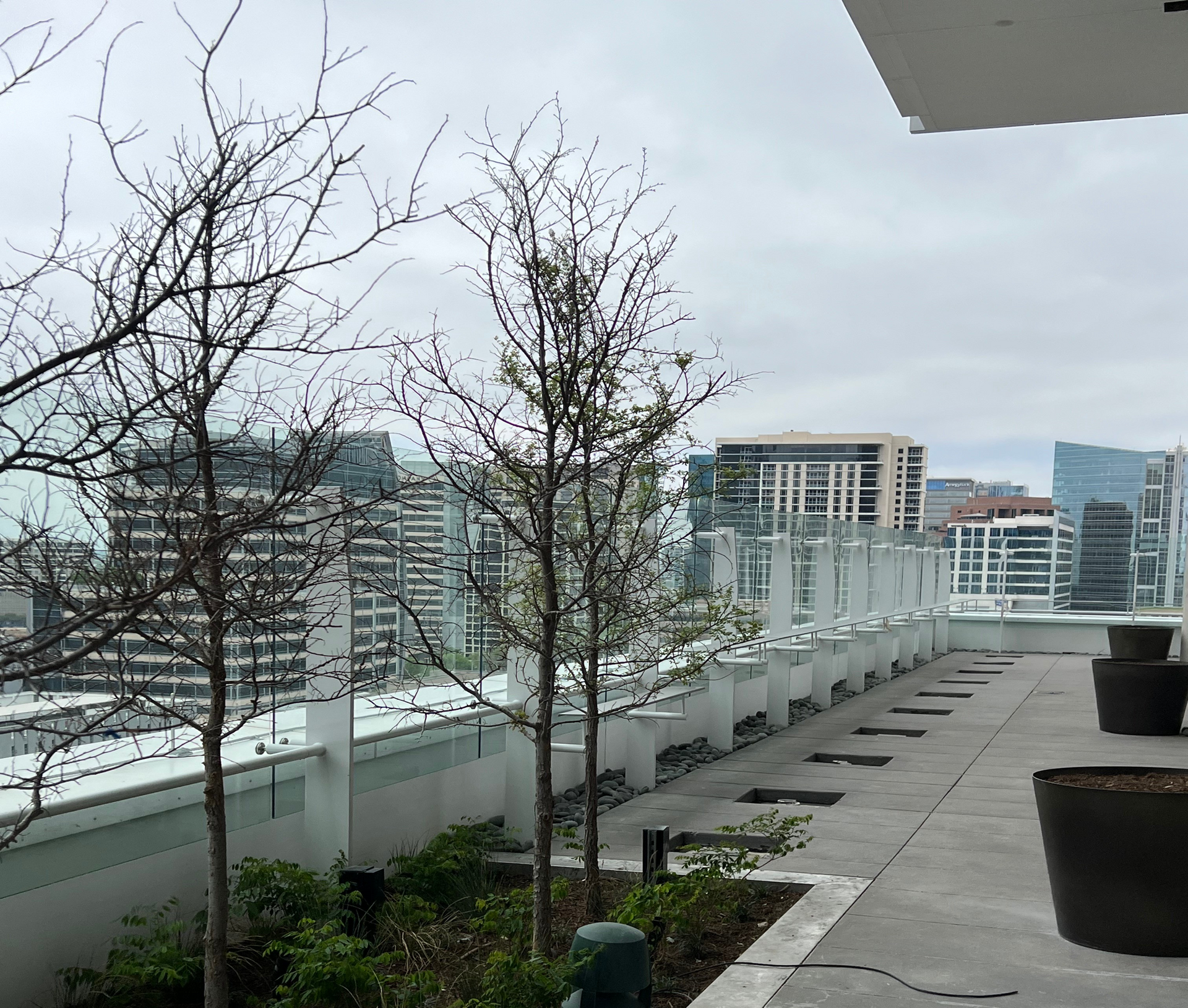 Rooftop view of cityscape with bare trees, glass railing, and large planters on a cloudy day.