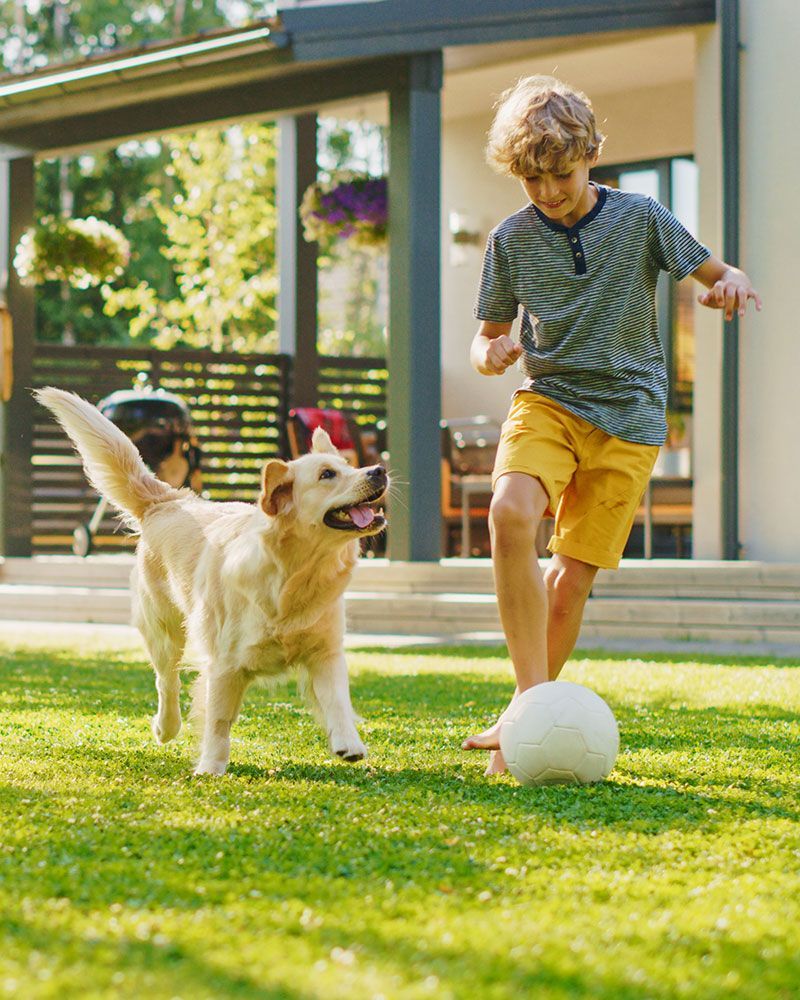 a boy and a dog are playing soccer in the backyard .