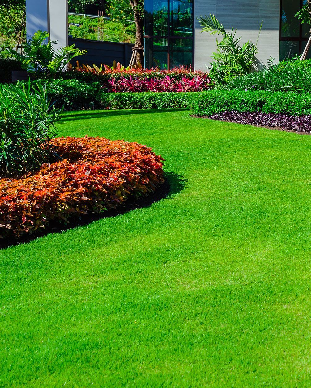 a lush green lawn with flowers and bushes in front of a building .