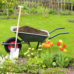 Wheelbarrow with compost for the flowerbeds — Harrisburg, PA — Green River Landscaping