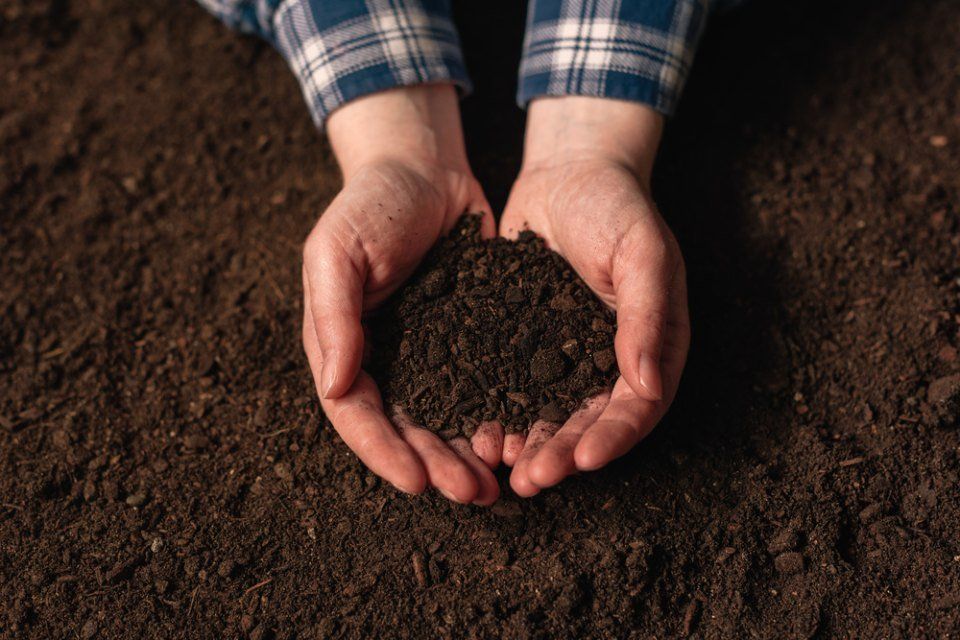 Man holding soil in his hand
