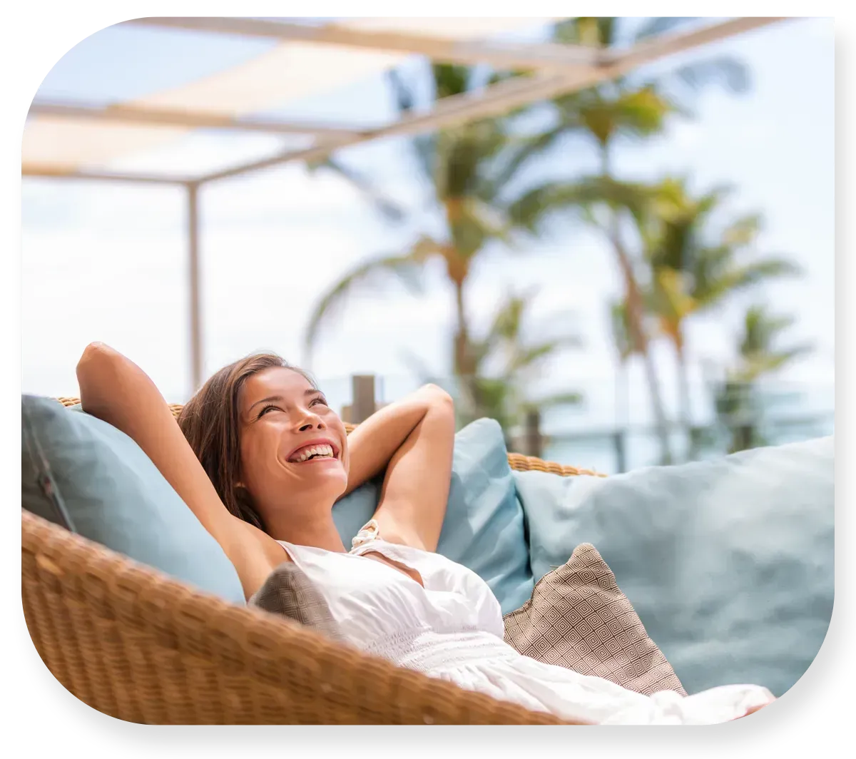 San Diego's Stress Free Tree Service Company San Diego's Stress Free Tree Service Company