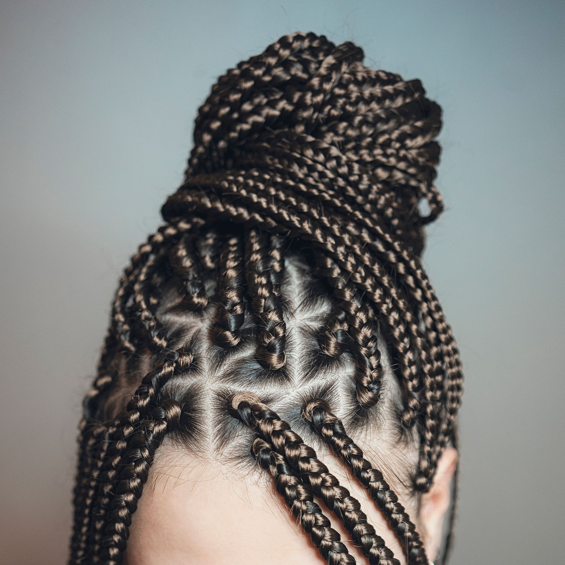 Close-up of braided hair styled in a high bun with intricate cornrows