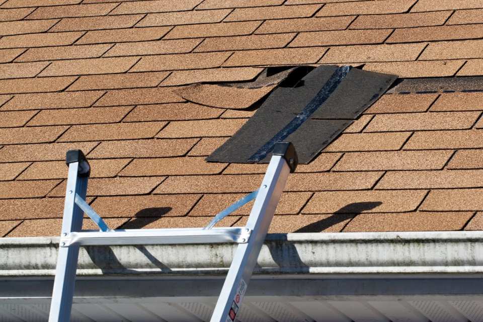 Minor shingle repair being made to a roof