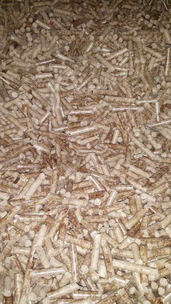 JDL International | Wood Pallet