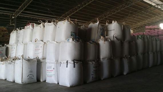 JDL International | Rubber Wood Supplier Malaysia