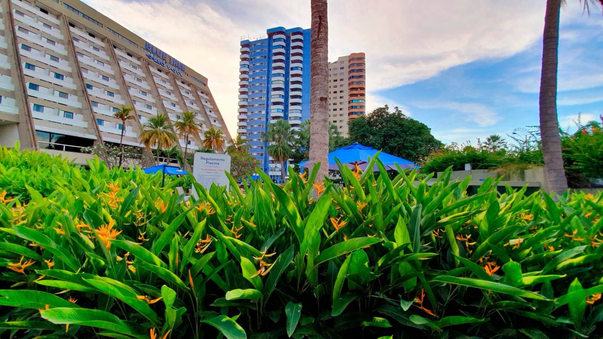 Um monte de plantas está crescendo na frente de um prédio.