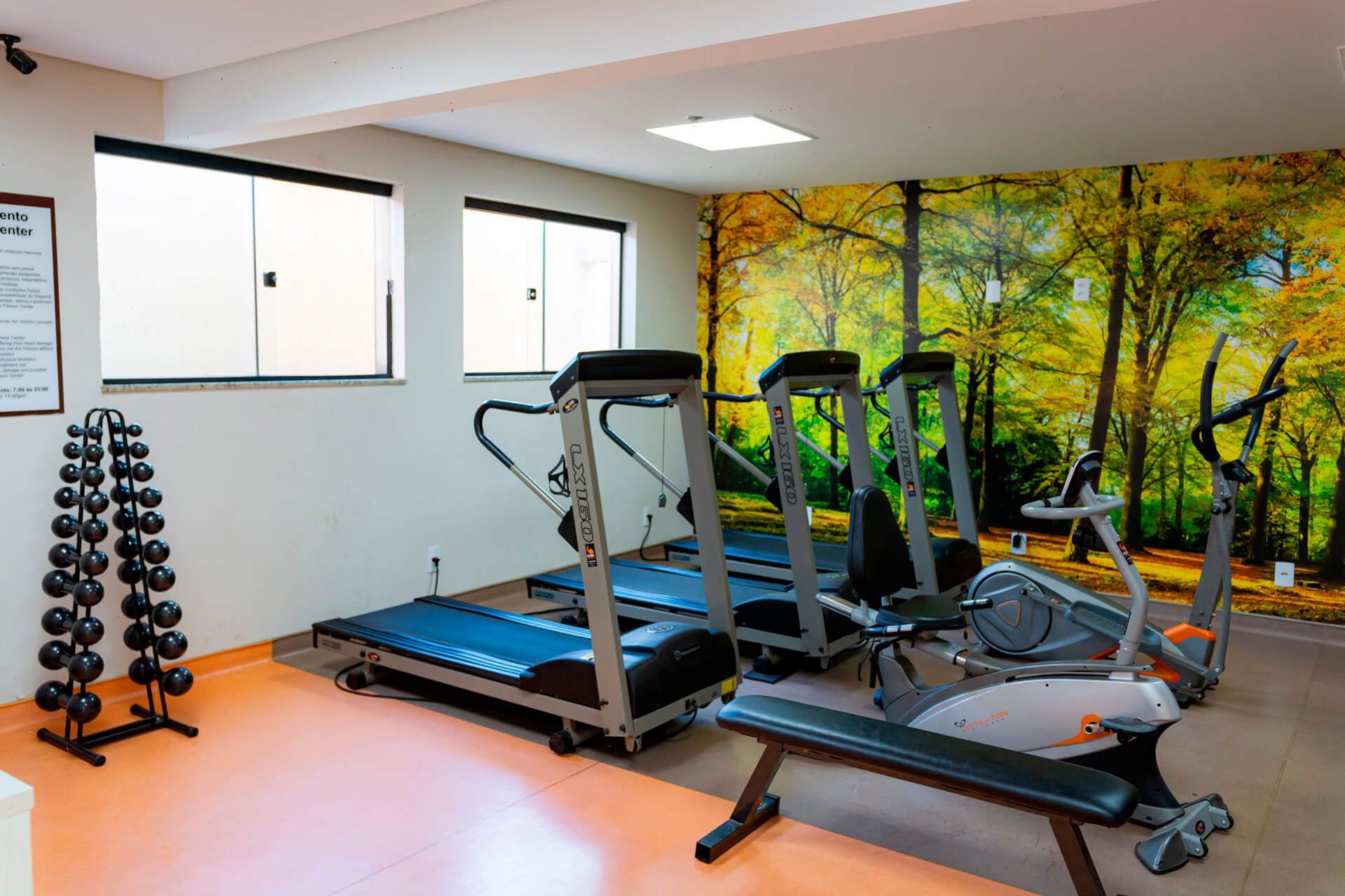 Uma academia com esteiras, elípticos e um banco.