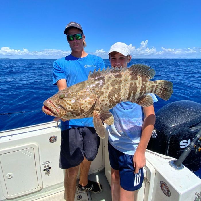 Hards Fish Caught by a Kid from Deep Sea Fishing — Deep Sea Fishing Co Sunshine Coast In Noosaville Queensland