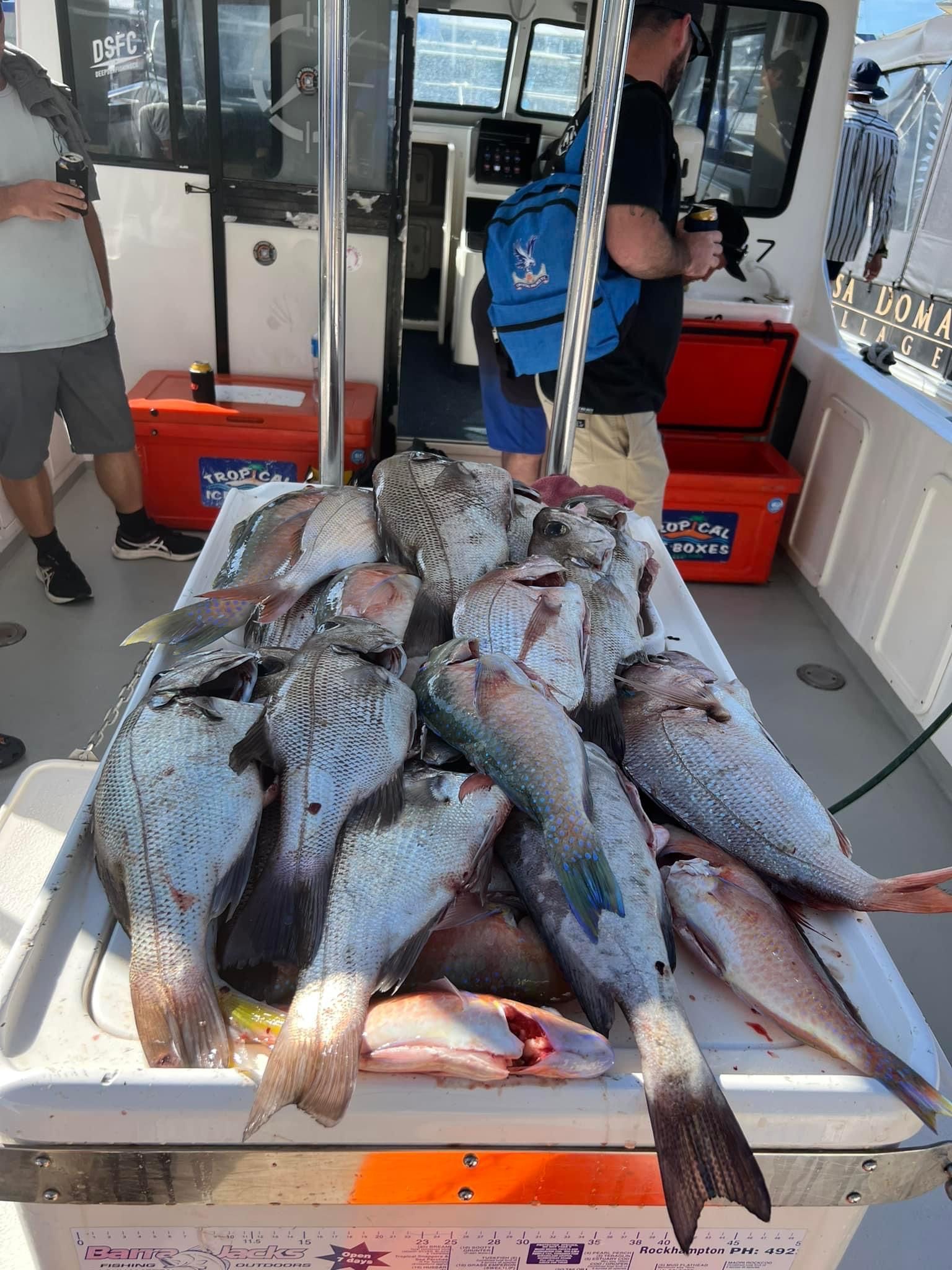 A bunch of fish are sitting on top of a table on a boat.